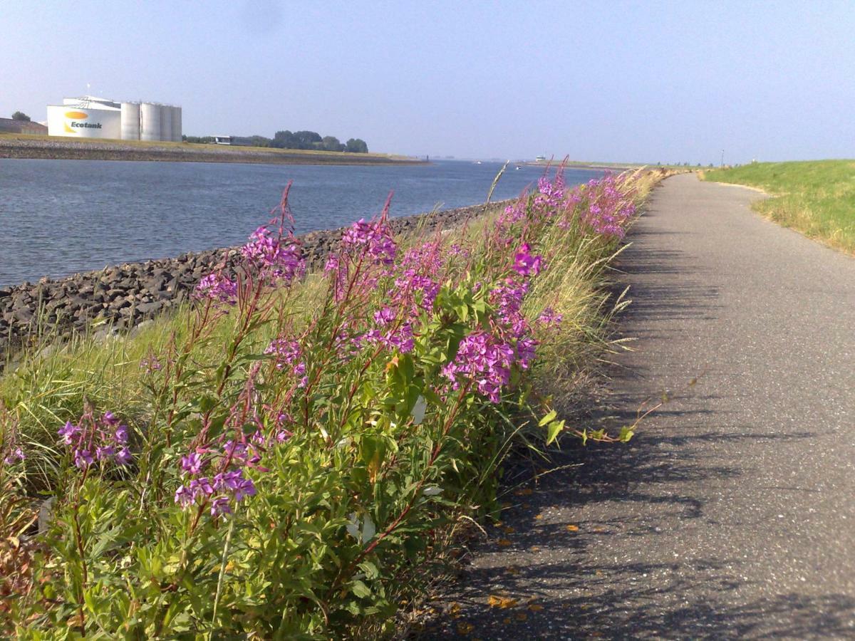 Middensluis Vakantiehuis เวเมลดิงเงอ ภายนอก รูปภาพ